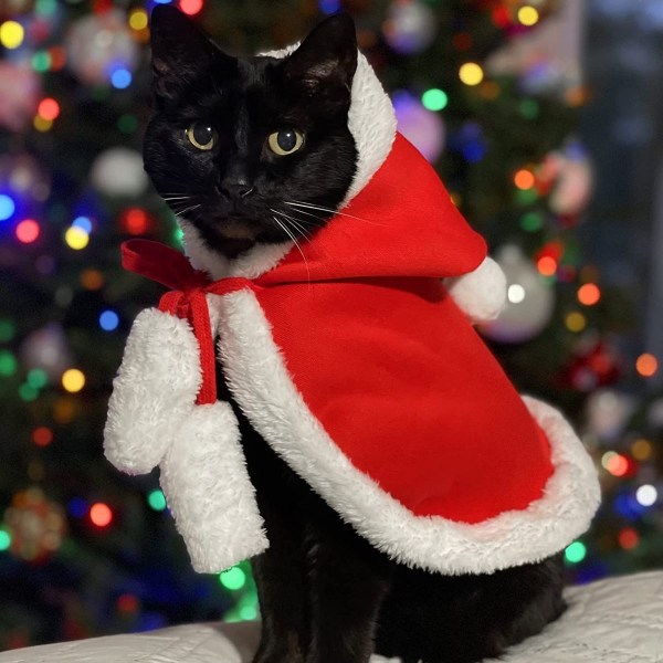 Cat Christmas Outfit - Julekappe med lue - S KLB