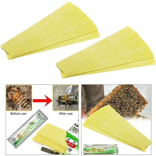 Förpackning med 60 Pro Beekeeping Fluvalinat Bee Mite Varroa Tool Strips Supplies