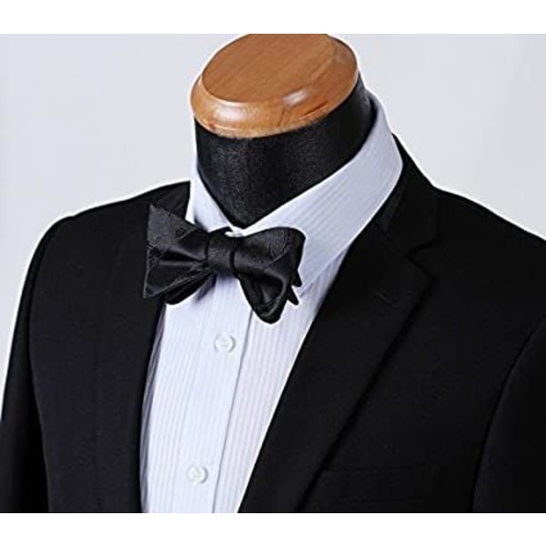 Miesten rusetti solmio rusetti- ja set Klassinen Paisley-rusetti yrityksille Tuxedo-hääjuhlajuhlat lahjarasialla