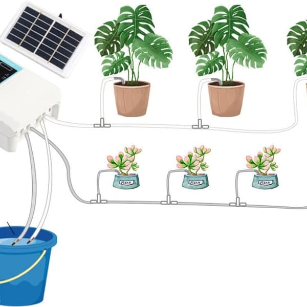 Regelmessig vanningssystem, vanningskontroller, plante