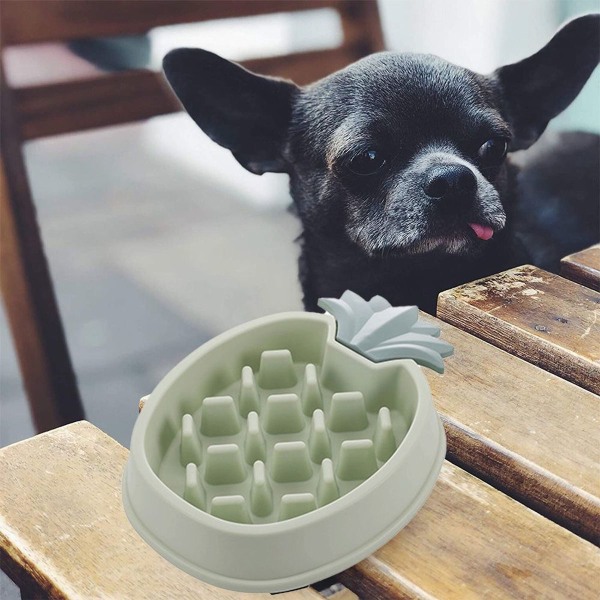 Katt Hund Matningsskål Långsam Mat Skål Tip Over Katt Skål Grön KLB