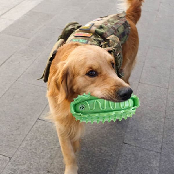Tuggleksak, robust pipande interaktiv hundstil 5 KLB