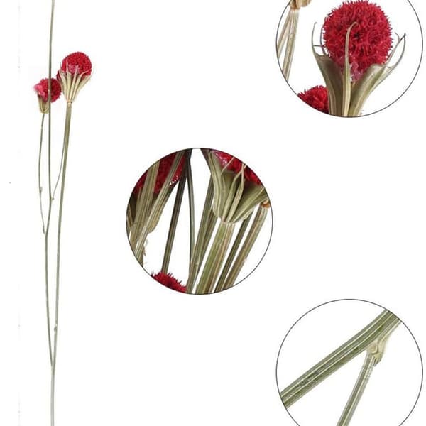 Torkade blommor Röd torkad blomma Dekorationsbukett Bröllopsvas KLB