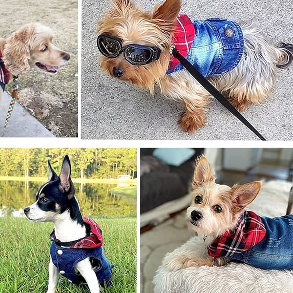 Hundkläder Hund Denimjacka Cool Blå Denimrock Liten Medium XL