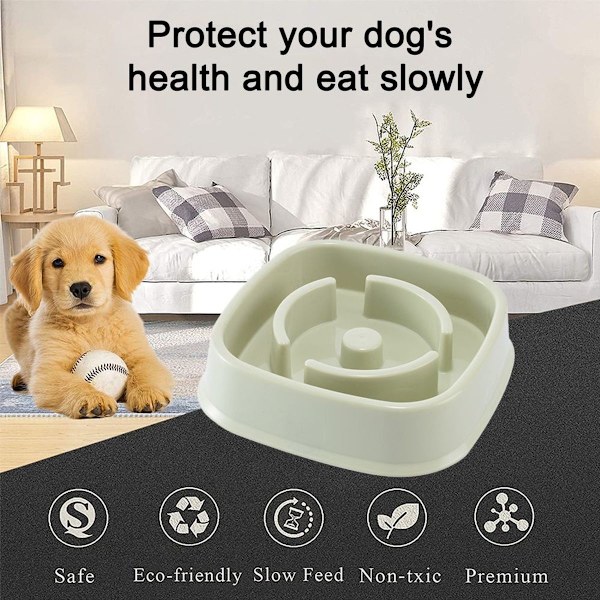 Långsam utfodring hundskål utan kvävning, långsam utfodring uppblåsthet stopp hund, grön KLB