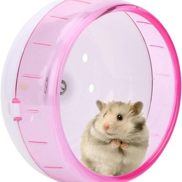 Hamsterin juoksupyörä Pieni lemmikkien juoksumatto Rotta Lemmikkien kuntopyörä Juoksupeli KLB