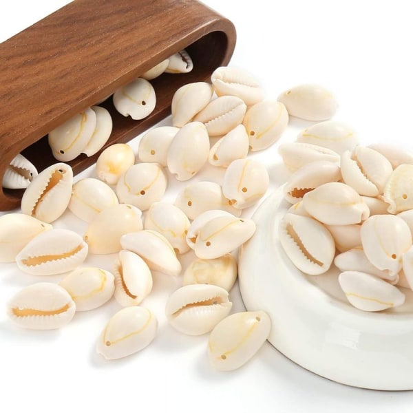 Herzwild Shell pärlor för att trä, 200 stycken naturliga skal hantverksskal med