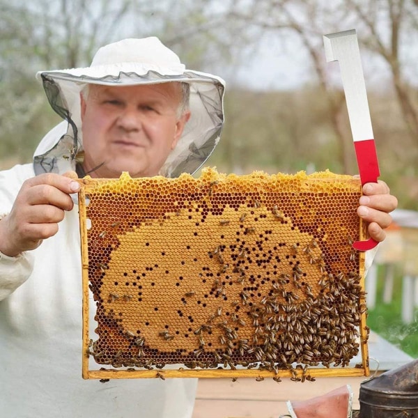 3kpl ruostumattomasta teräksestä valmistettu mehiläispesätyökalu J Hook mehiläishoitotyökalu
