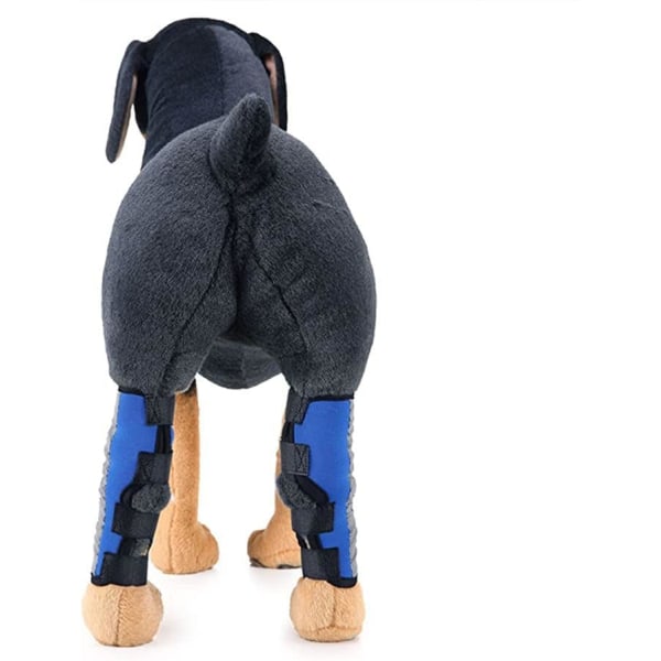 Reflekterande hundbensstöd (blå) med säkerhetsreflekterande remsa för främre och bakre hundbensstöd. Animal Paw Compression Pack för skador Art