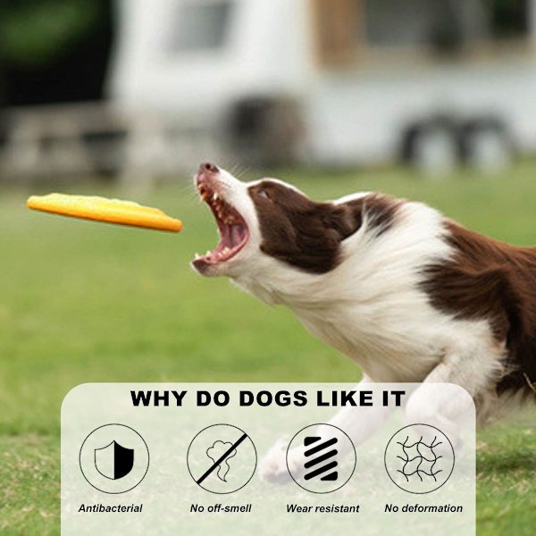 Flygande frisbee för hund, aerodynamisk frisbee för hundar, gul KLB