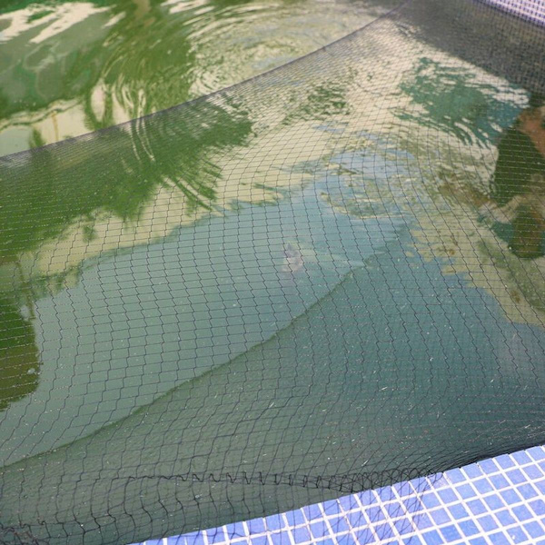 Silmäkokoinen linnunsuojaverkko suojaverkko puutarhaverkko lampiverkko linnunverkko lampiverkko vastaan
