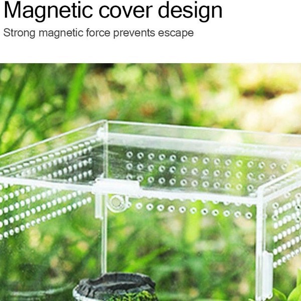 Akryl terrarium, transparent akrylbehållare KLB