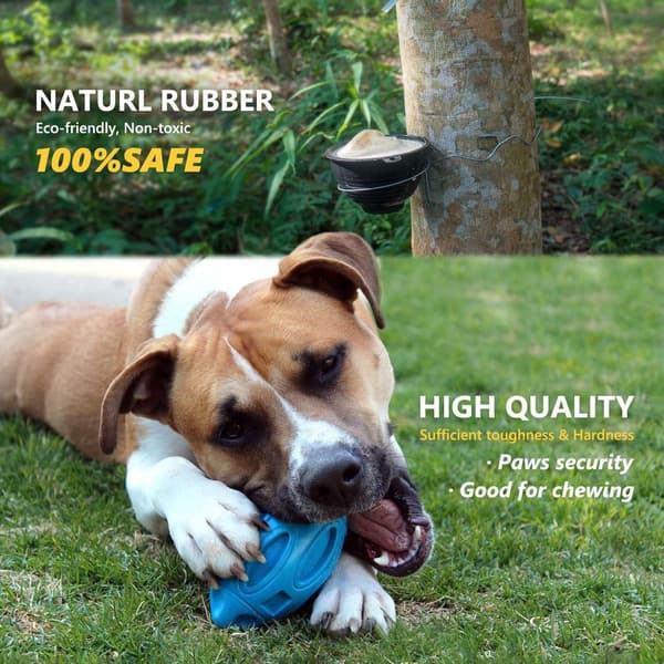 Hundleksaker för aggressiva tuggare: tuggboll i gummi för valpar KLB