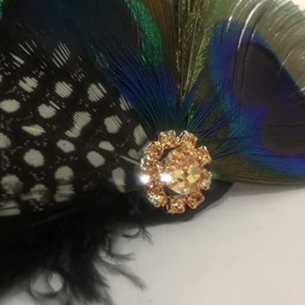 2 stk. Mote Peacock Feather Hårklips Hårnåler Aftenkjole Hodeplagg KLB