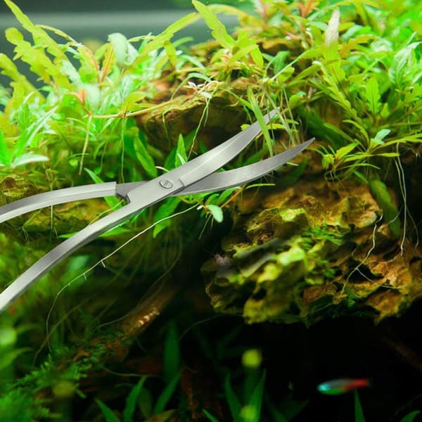 Akvarium Terrarium Saks Carboniseret Rustfrit Stål Sølv KLB