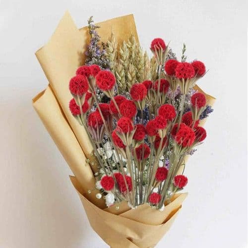 Torkade Blommor Röda Torkade Blommor Dekoration Bukett Bröllop Vas