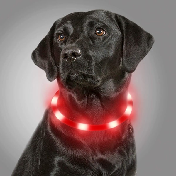 Ljushalsband för hundar, USB uppladdningsbart LED-hundhalsband, blinkande justerbart säkerhetshalsband för små, medelstora och stora hundar, röd