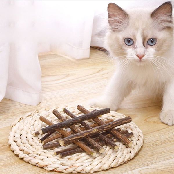10 st katt tuggpinnar kattmynta leksaker trä kattunge tuggpinnar KLB