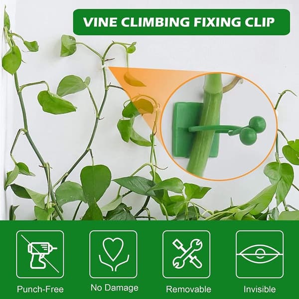 Växtklättring Väggfästen Clips Pack med 150 3 Storlekar