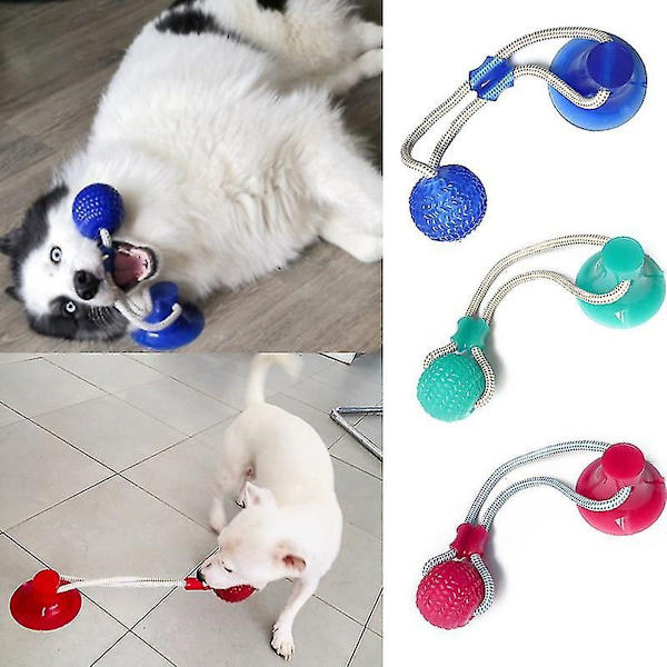Hund Leksak Interaktiv Sugkopp Tryck TPR Boll Leksak Husdjur Valp KLB