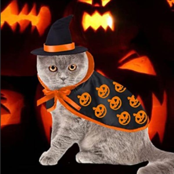 Halloween Kat Kæledyr Troldmand Kostume, Kæledyr Kostume Tøj til Killing Hvalp til Halloween