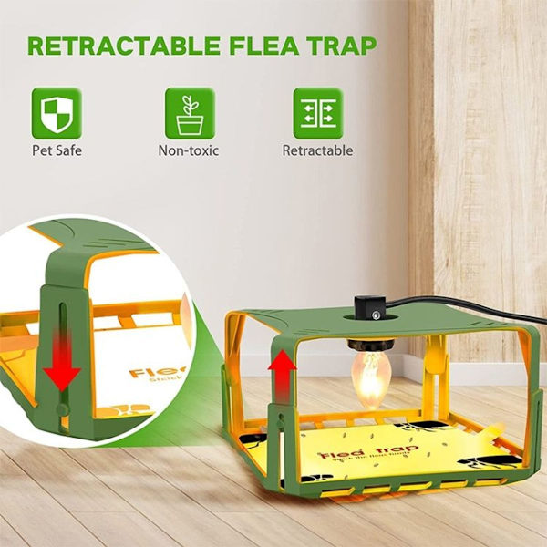 Piece Square Fly Trap Kirppu Ansa Lemmikkieläinten Koti Kirppu Valo (UK)