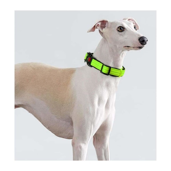 Et neongrønt M hundehalsbånd, nylonhalsbånd egnet til medium træning, justerbart og reflekterende