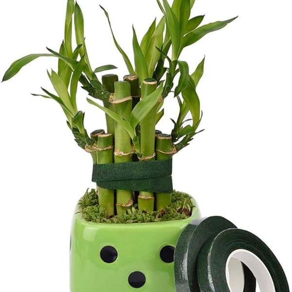 3 rullaa kukkateippiä, itseliimautuvaa kukkateippiä, florateippiä