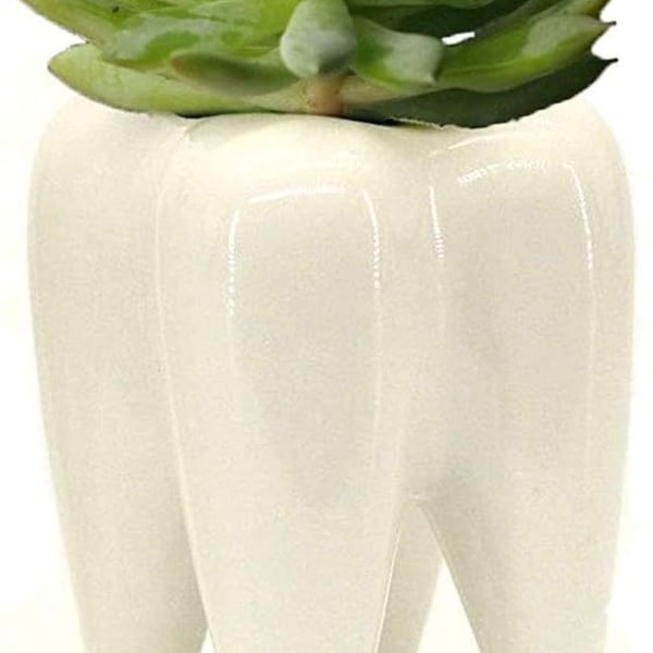 Keramisk Tandblyant Tandbørsteholder Potte Kød Plantepotte Hjemmekontor