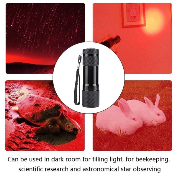 LED rødt lys dyre-uømfintlig infrarød lampe for KLB
