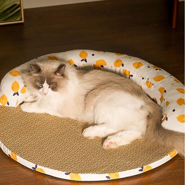 Fancy hund seng måtte, kat rotang madras til alle L(23.62) KLB