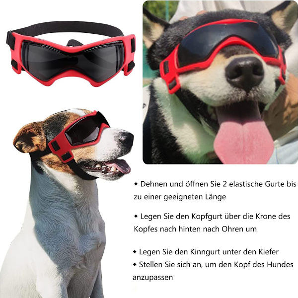 Koira aurinkolasit, koiran suojalasit, aurinkolasit koirille, koiran lasit, UV