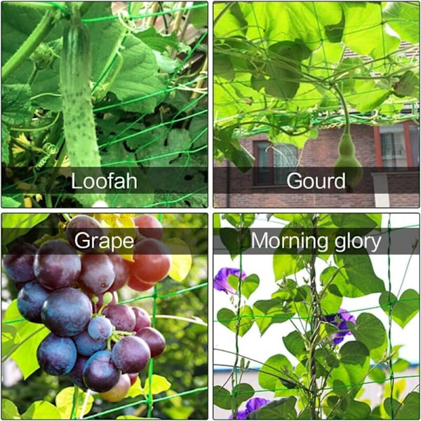 2 stk plante støtte espalier nett, polyetylen klatreplante nett dyrke nett for vinstokker grønnsaker blomster frukt, 1.8mx3.6m KLB