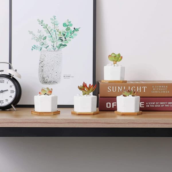 Mini vit hexagonal keramisk blomkruka Bonsai kaktus blomkruka hem