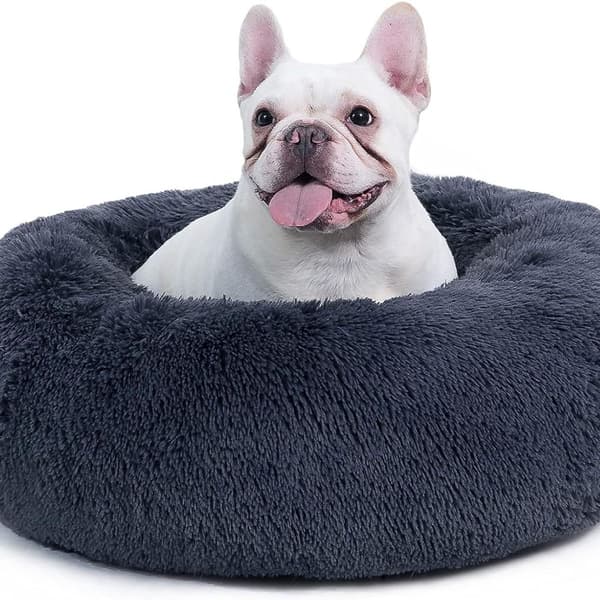 Bedsure katteseng vaskbar fluffy hund seng - kattesoveplads til KLB