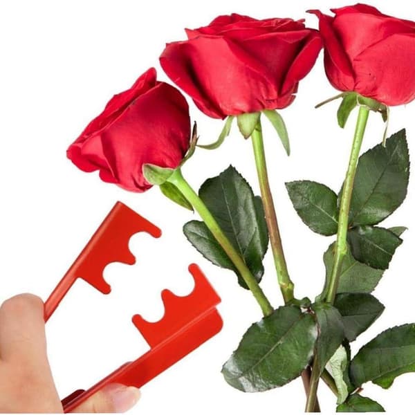 1 stk. rose torn afløvningsværktøj, metal tornfjerner, rosenbladfjerner KLB