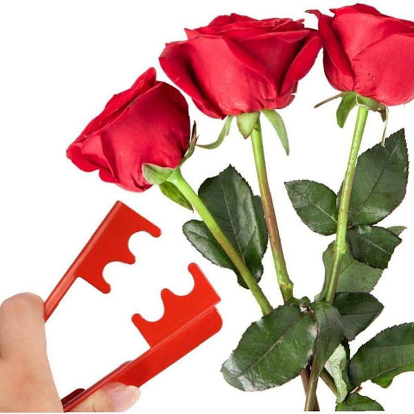 1 stk rose tornfjerner, metall tornfjerner, rosebladfjerner KLB