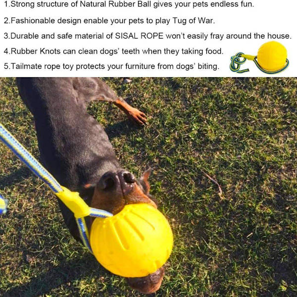 Boll med snöre, hund leksak, boll, hund leksak, vatten flyta, KLB