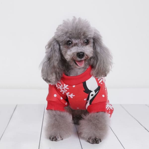 Xmas Puppy Fleece Pyjamas - Pet Vintergenser - S KLB