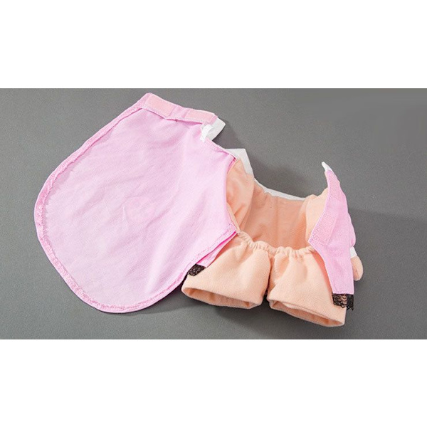 Sjuksköterskedräkt för Hund och Katt, Djursköterskekläder, Halloween Jeans Outfit, Kläder för Katt och Hund, Stå och Transformera Tredimensionellt