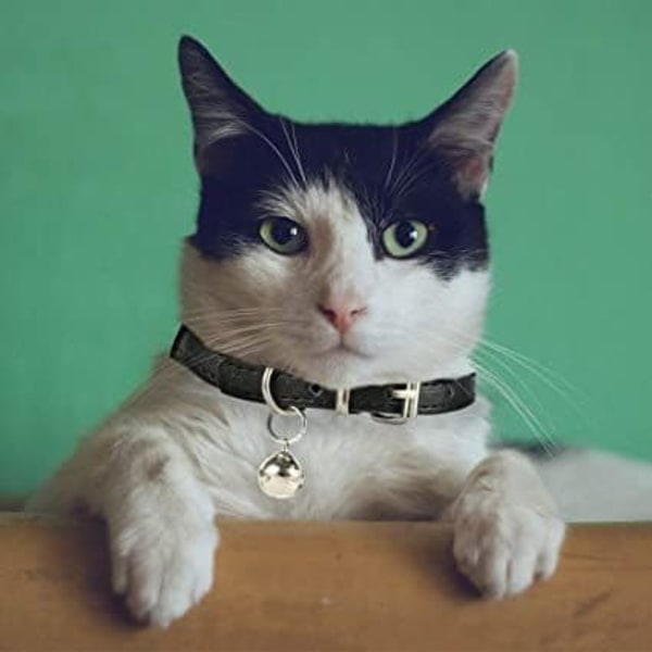 1 pakke kattehalsbånd i skinn med avtagbar bjelle metallspenne Slitesterk polert myk justerbar for katter Valper Små mellomstore hunder