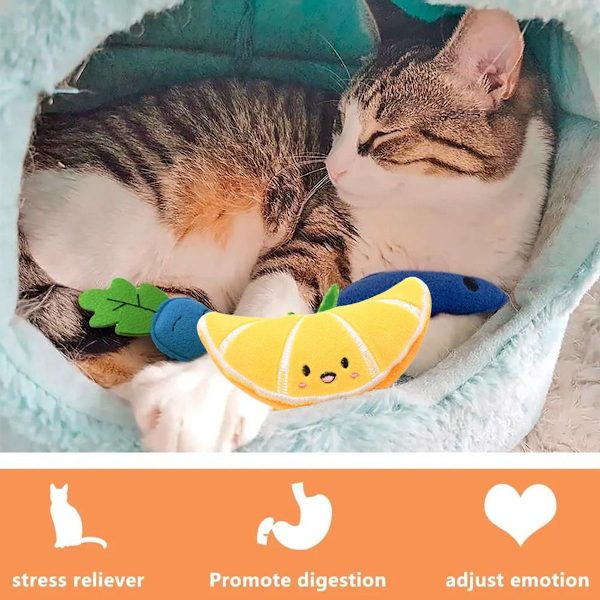 4 st söta katt leksaker kattunge interaktiva leksaker frukt stil 4 KLB