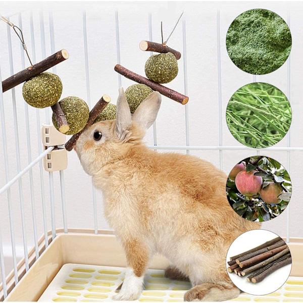Tuggleksaker för dvärgkaniner, morotsleksaker för smådjur, marsvinsleksaker, tandvård för hamster marsvin chinchilla papegoja gerbiler råttor