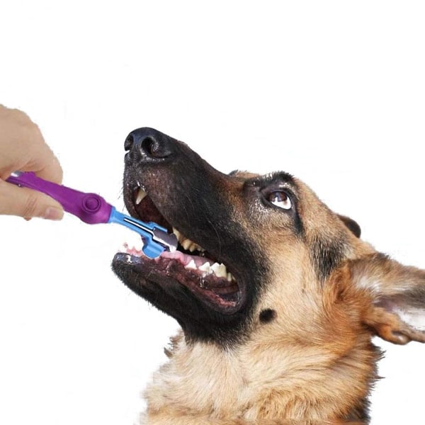 3 st hundtandborste för tandvård för husdjur Trippelhuvudtandborste KLB