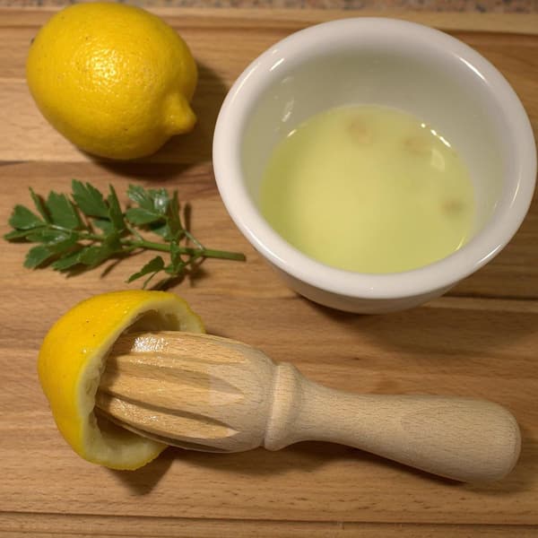 Citronpress citrusfruktpress handpress citruspress