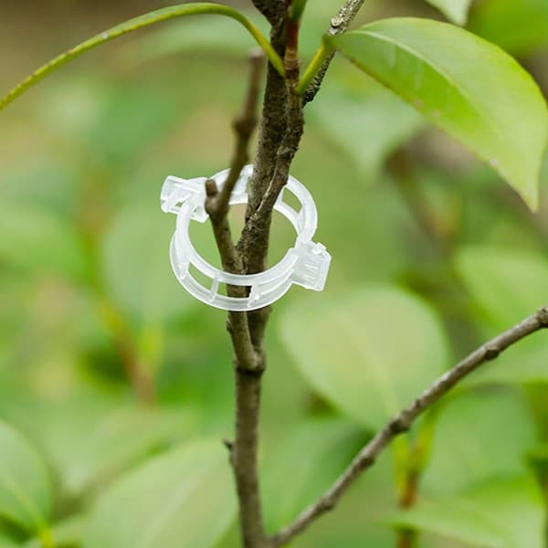 Pakke med 200 planteholderklips, hageklips,