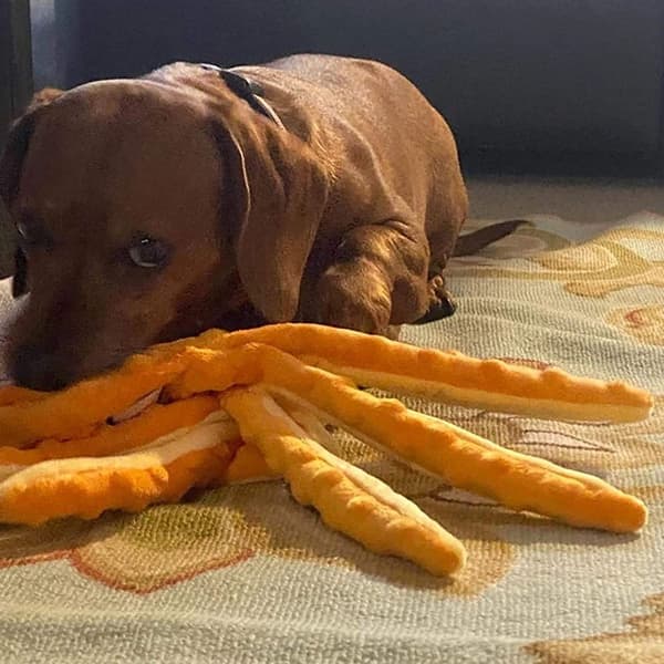 Pivdyr til hunde, plysstoflegetøj, blå + orange KLB