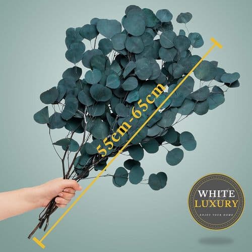 VIT LUXURY - Eucalyptus som torkade blommor EN blickfångare - varar för evigt