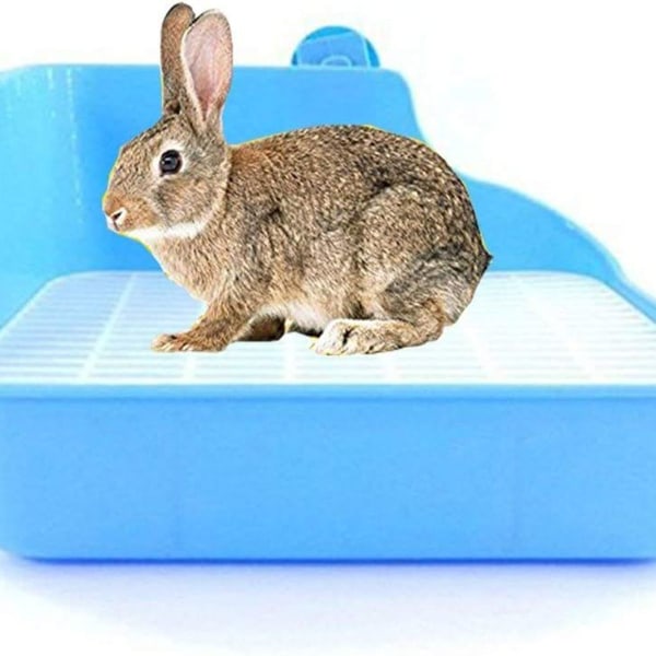 Kanin kattesandboks plast smådyr toalett pottetrener hjørneboks KLB