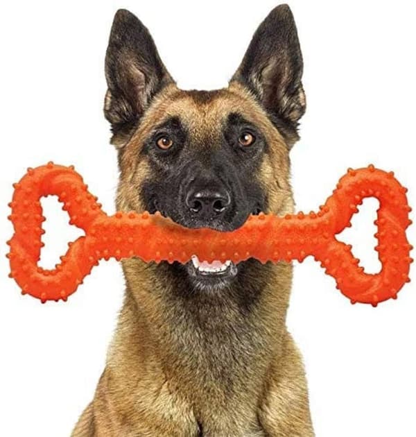 Aggressiv tyggelegetøj til hunde, holdbart legetøj til tænderskift til mellemstore og store energiske hunde (orange)